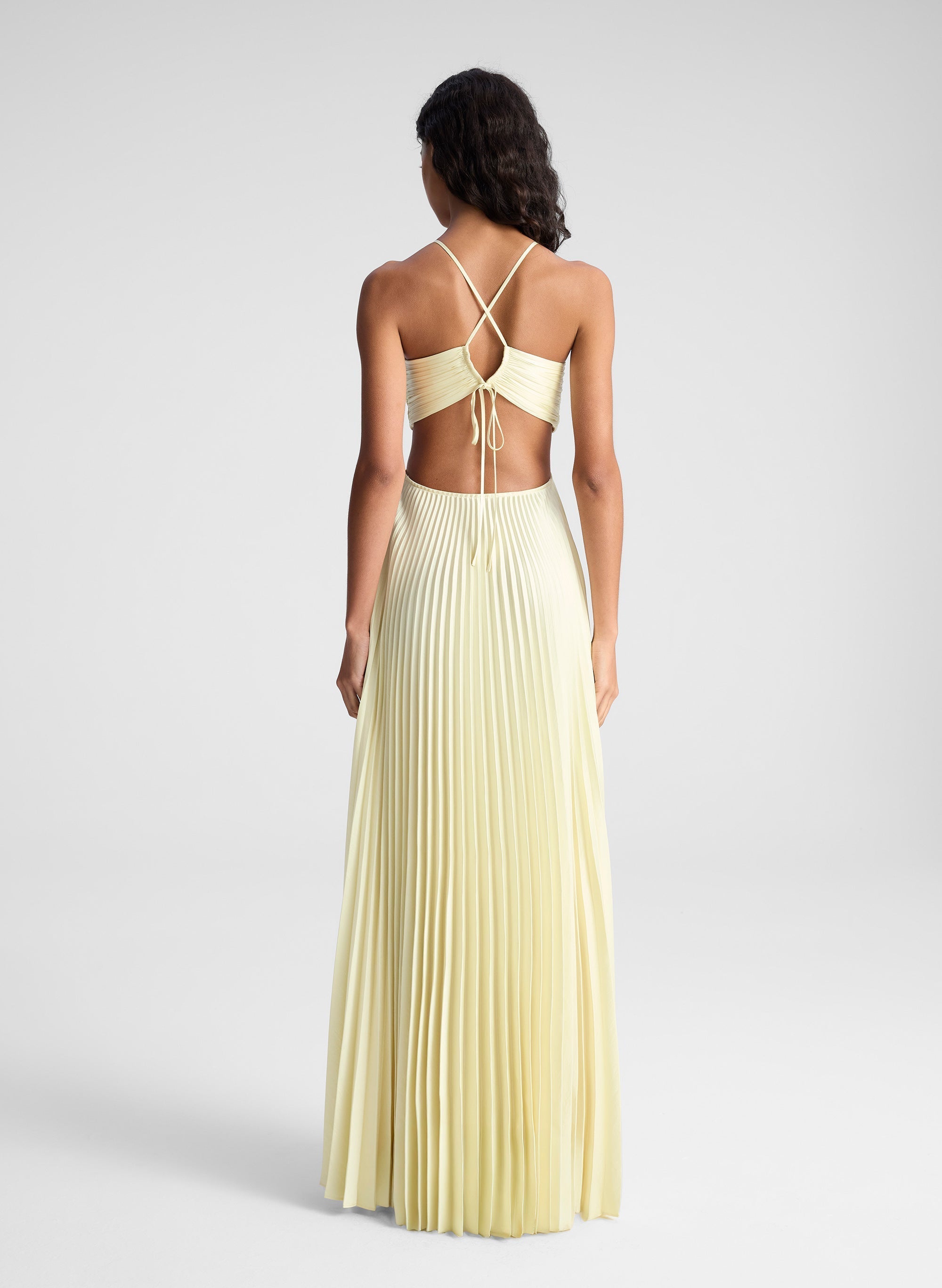 Nerina Pleated Maxi Dress