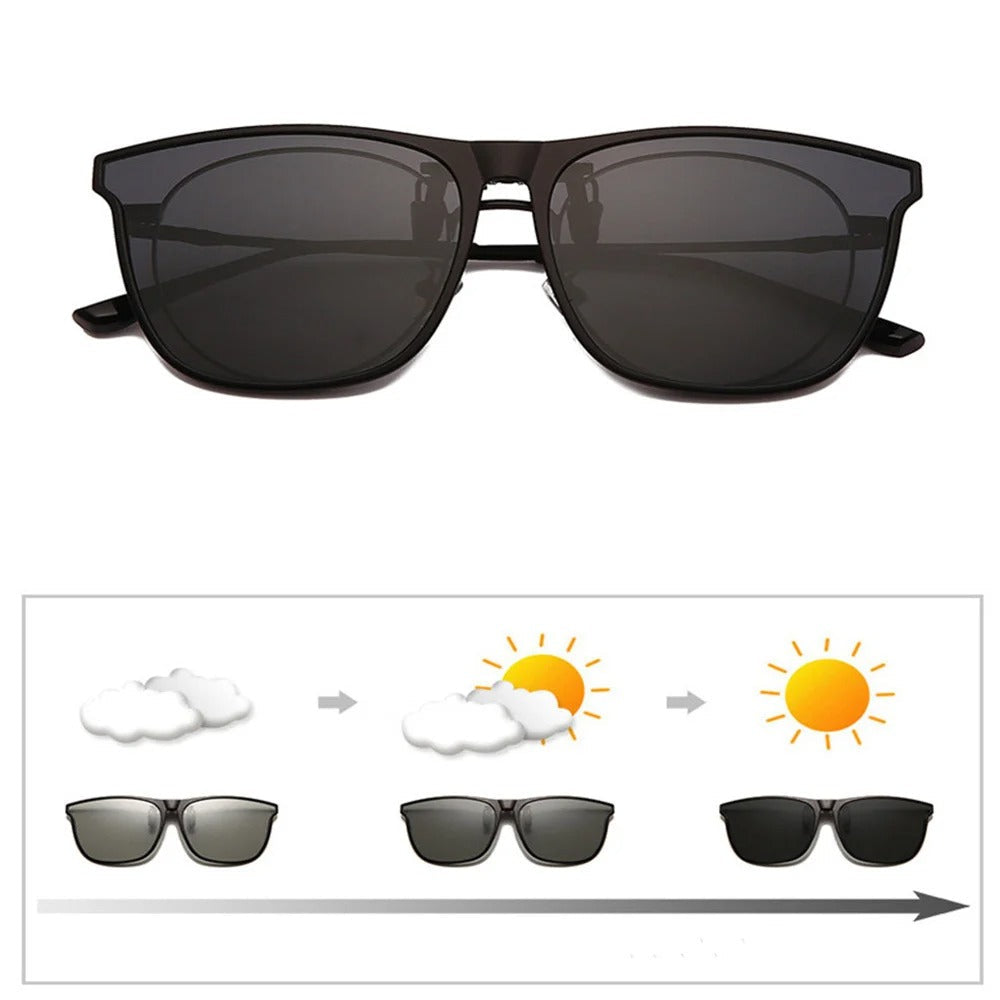 NEW sunglasses clip-on